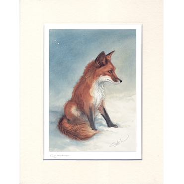 Giclee Prints - Wildlife