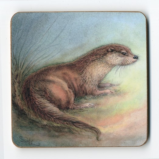 Coaster_Otter_.jpg